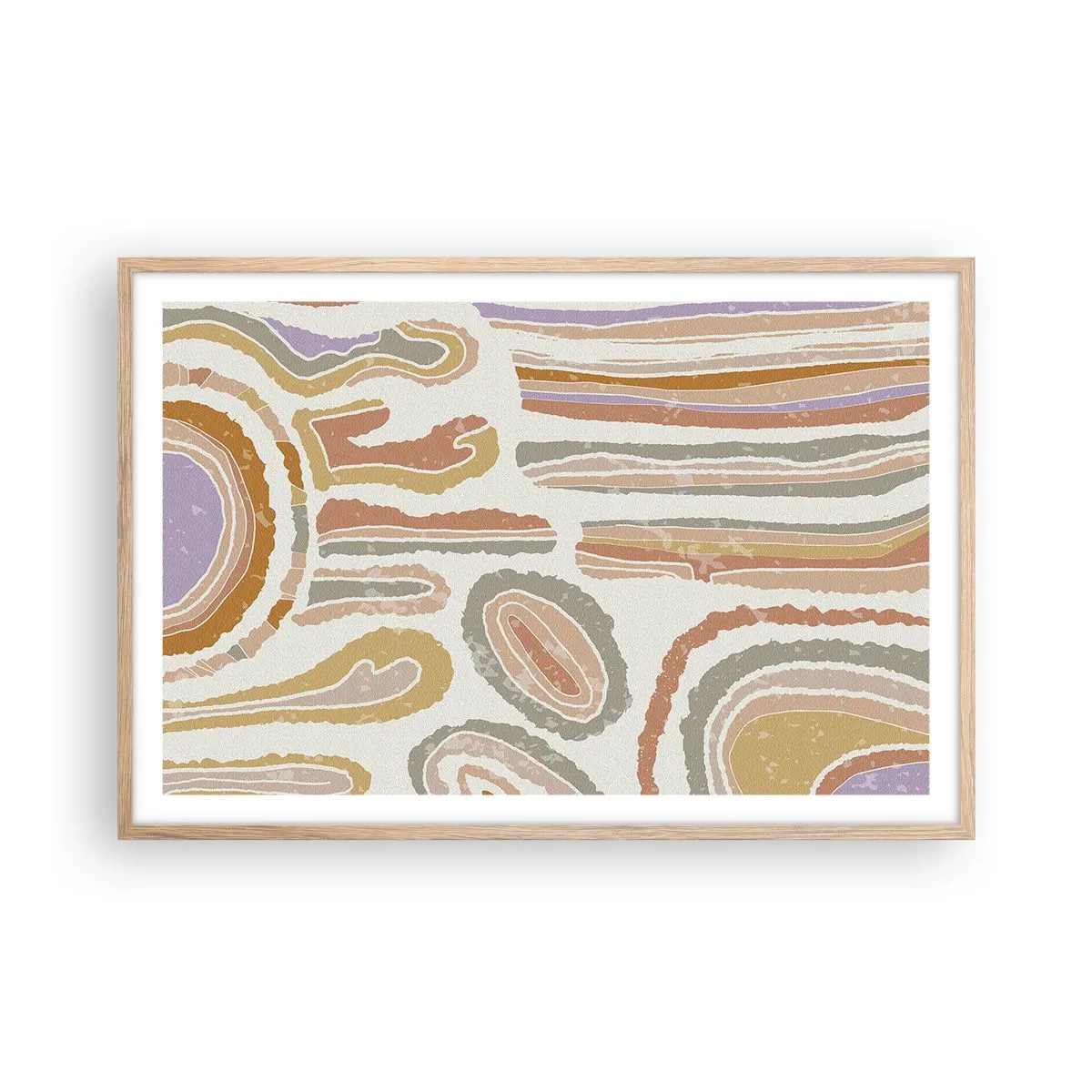 Affiche dans un chêne clair - Poster - Coupes transversales colorées - 91x61 cm