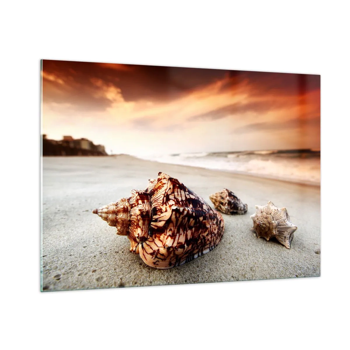 Impression sur verre - Image sur verre - Coquillages sur la plage au coucher du soleil - 100x70cm - Les parias des vagues - Décoration murale moderne pour le salon et la chambre ARTTOR