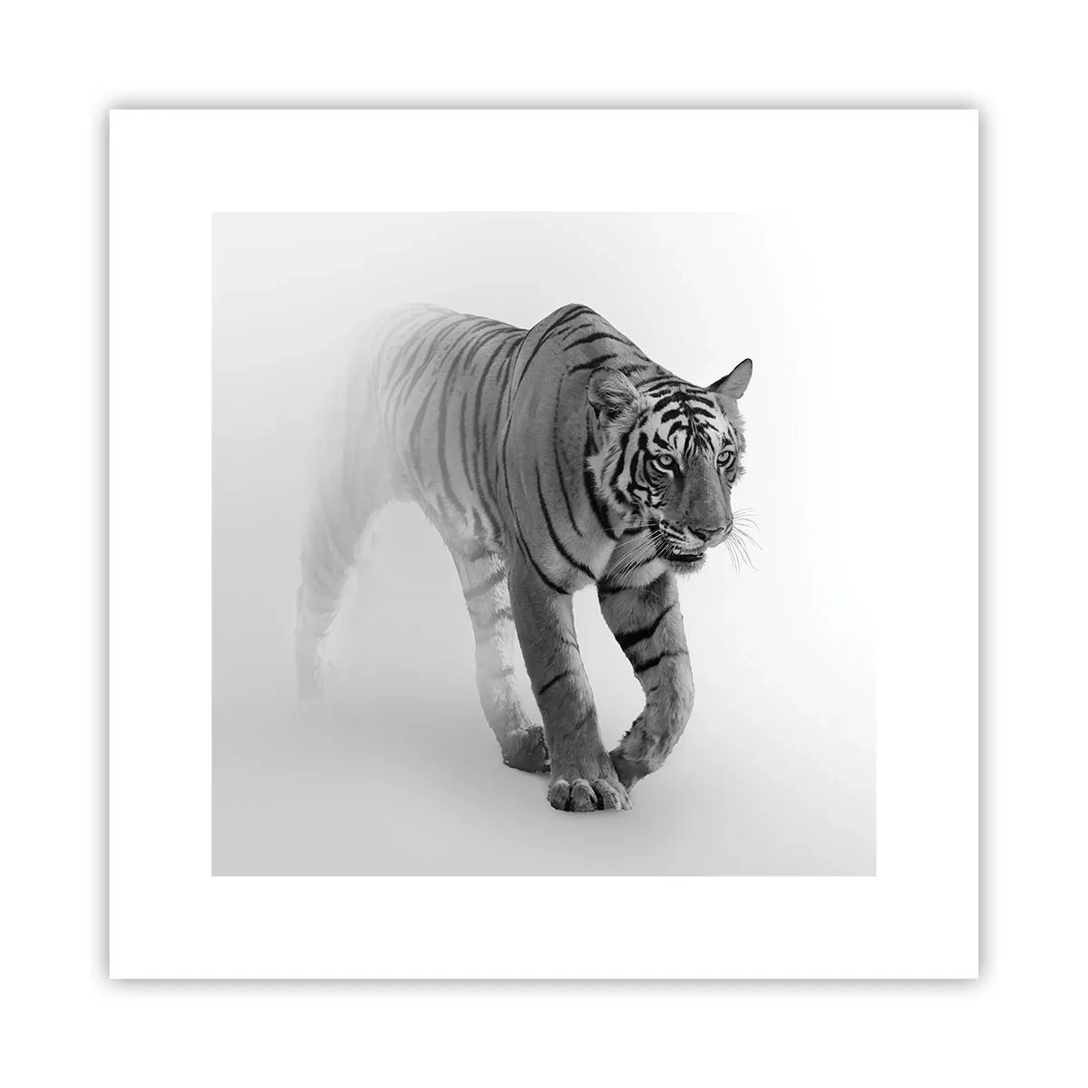 Affiche - Poster - Accroupi dans le brouillard - 30x30 cm