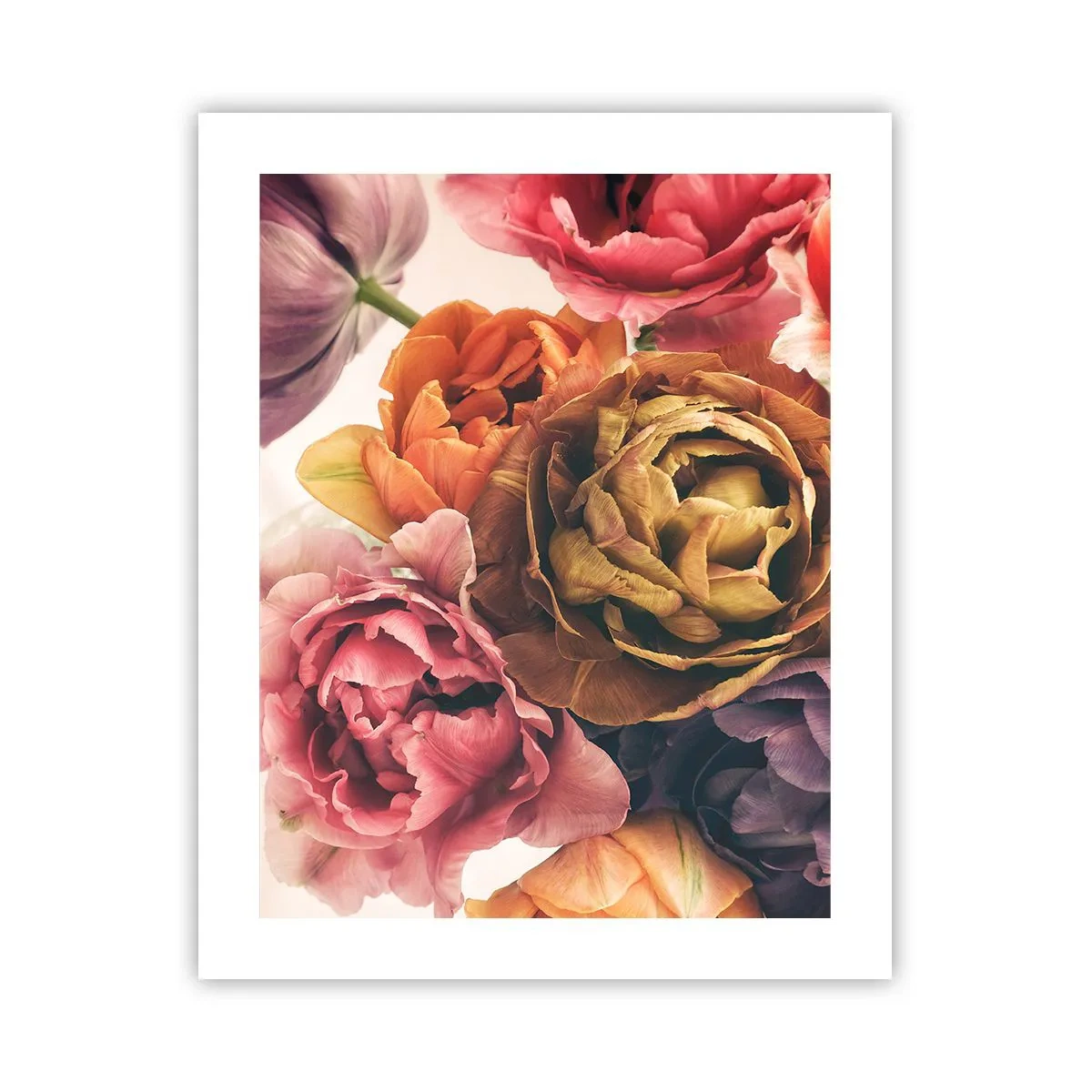 Affiche - Poster - La fête de la vie - 40x50 cm