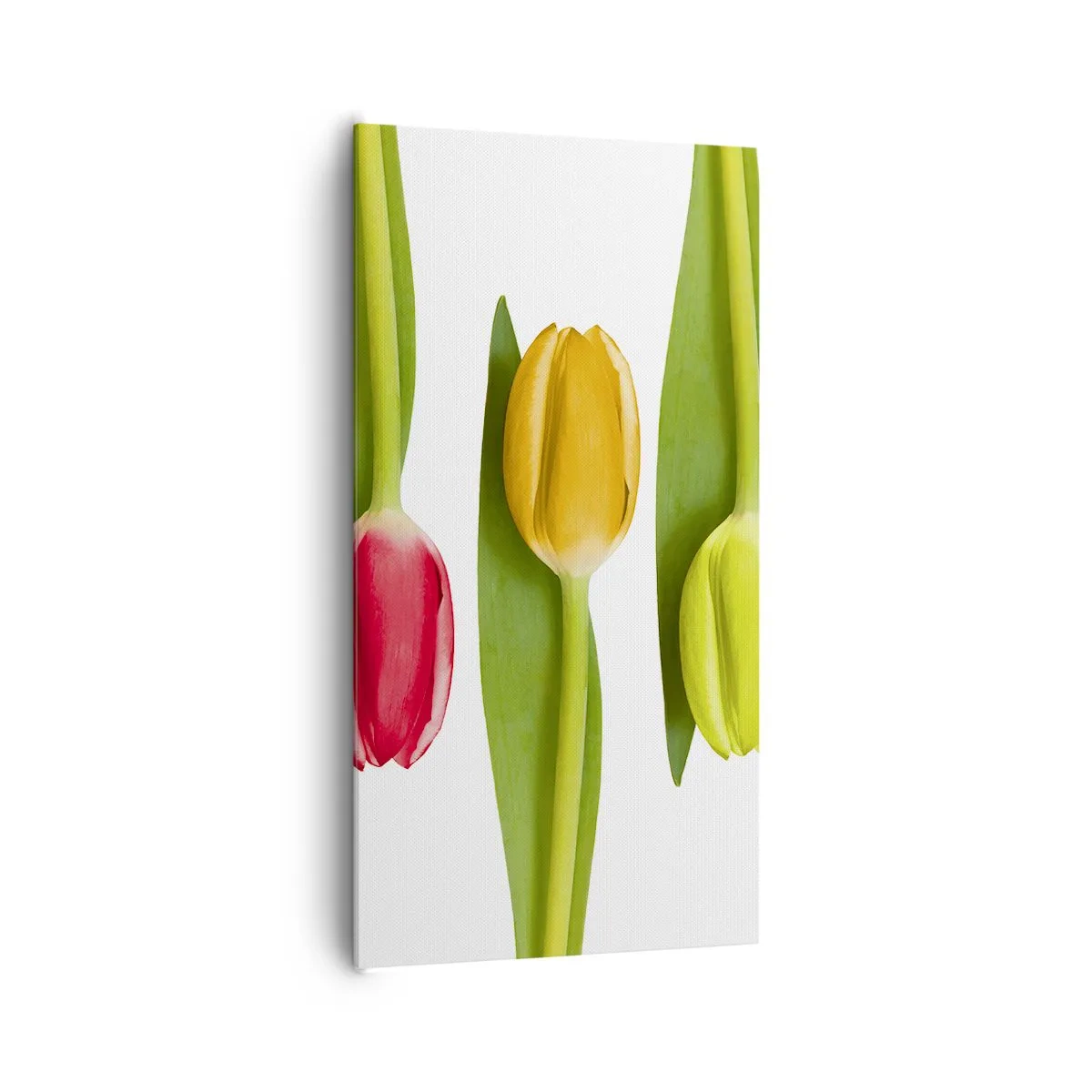 Impression sur toile - Image sur toile - Composition arc-en-ciel - 65x120 cm