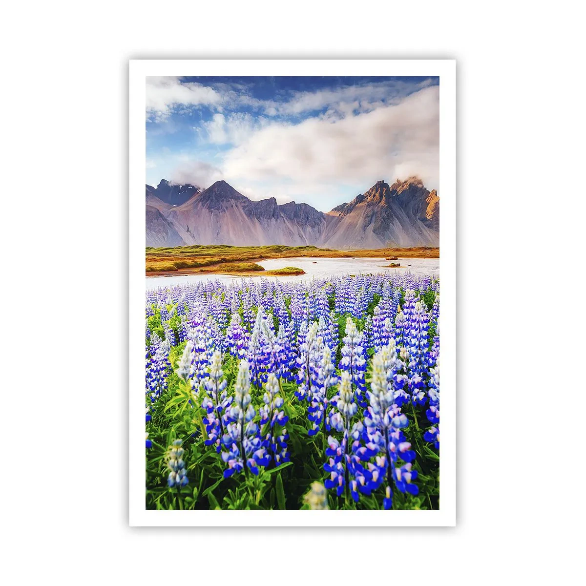 Affiche - Poster - La force et l'austérité côtoient la douceur - 70x100 cm