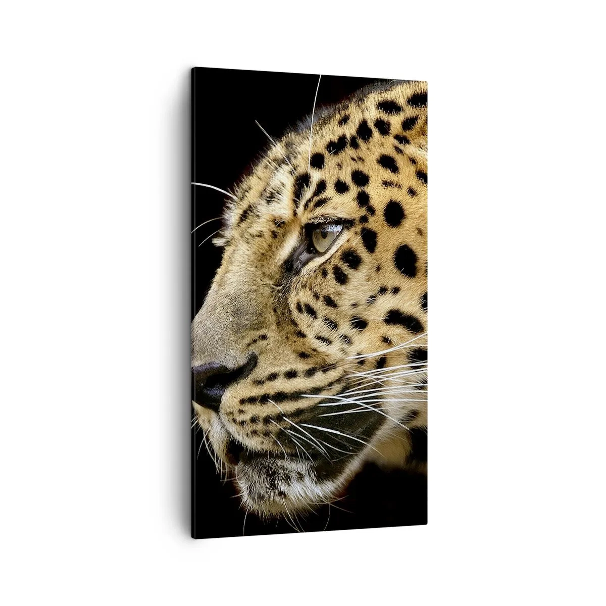 Impression sur toile - Image sur toile - Calme, concentré, prêt - 45x80 cm