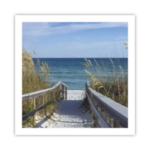 Affiche - Poster - Au soleil, sous le vent - 60x60 cm