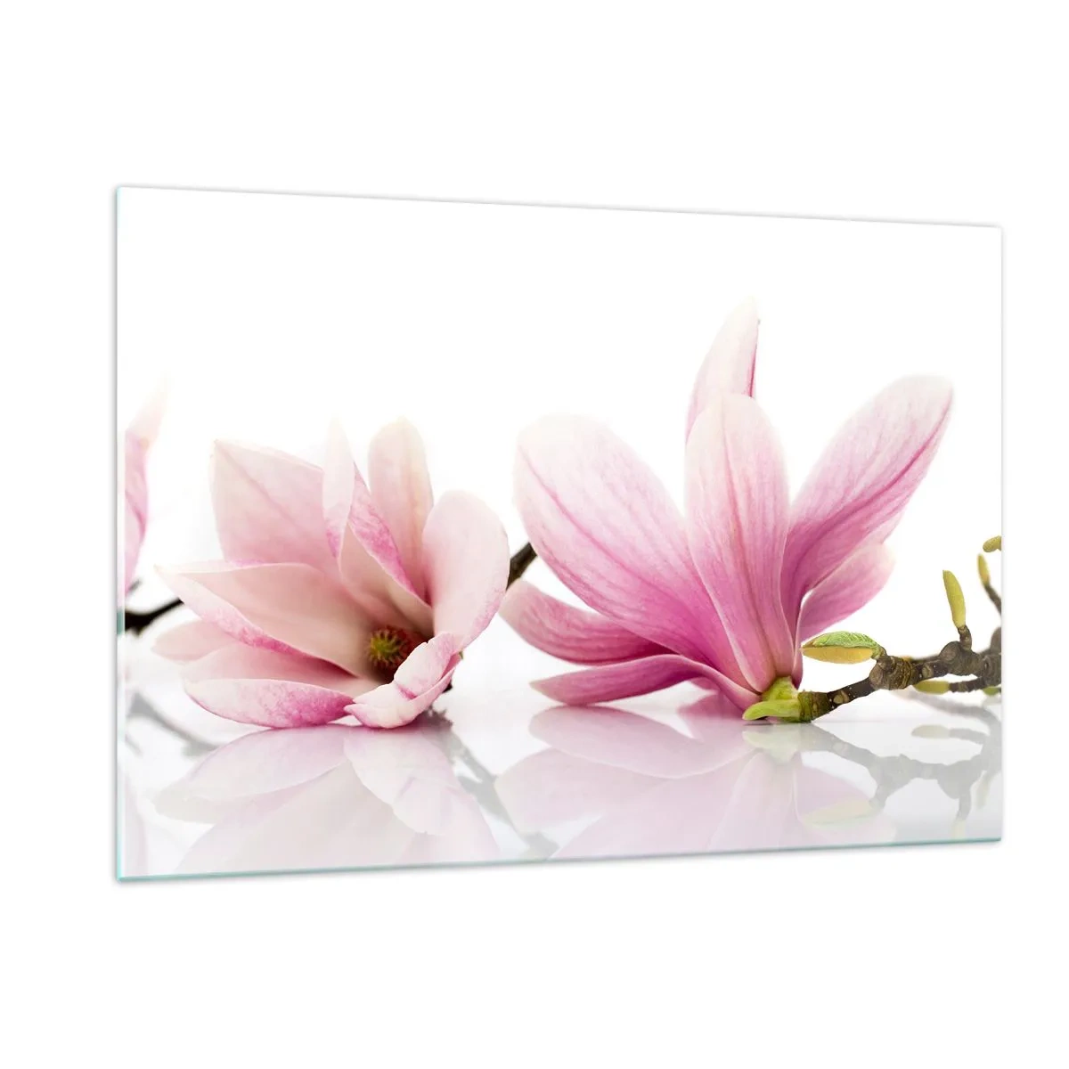 Impression sur verre - Image sur verre - Fleurs de magnolia délicates sur fond blanc - 120x80cm - Délicat comme une brise de printemps - Décoration murale moderne pour le salon et la chambre ARTTOR