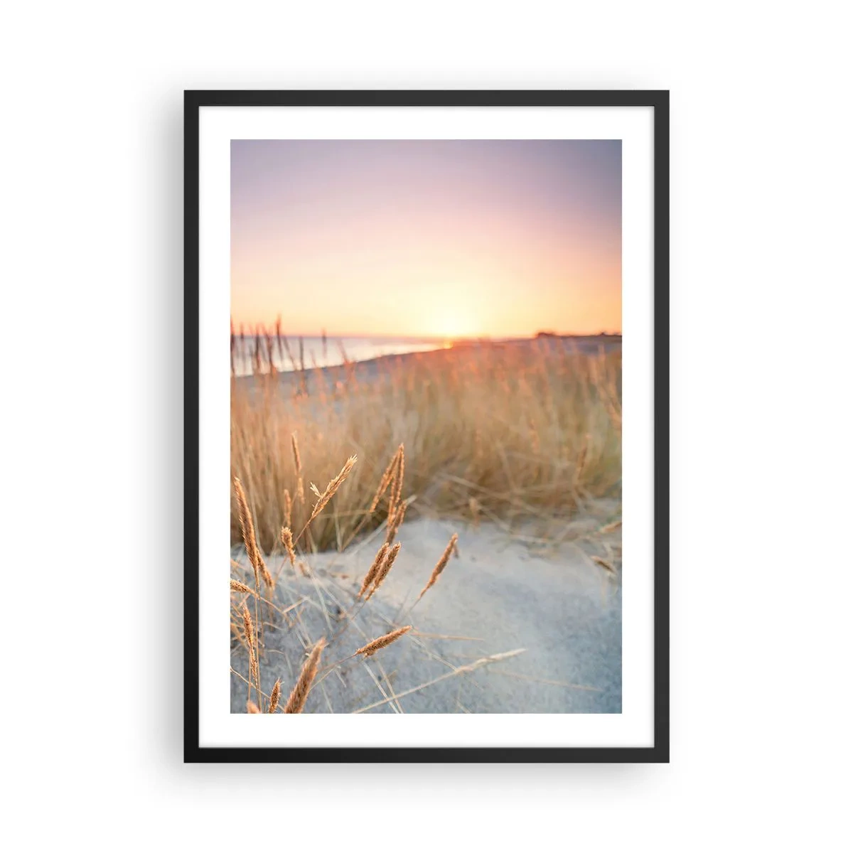 Affiche dans un cadre noir - Poster - Les herbes sur les dunes illuminées par le soleil couchant - 50x70cm - Berceuse baltique - Décoration murale moderne pour le salon et la chambre ARTTOR