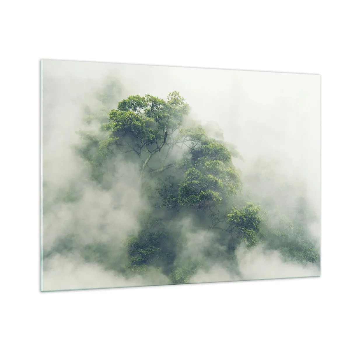 Impression sur verre - Image sur verre - Arbres de la forêt tropicale émergeant d'un épais brouillard - 100x70cm - Enveloppé de brouillard - Décoration murale moderne pour le salon et la chambre ARTTOR