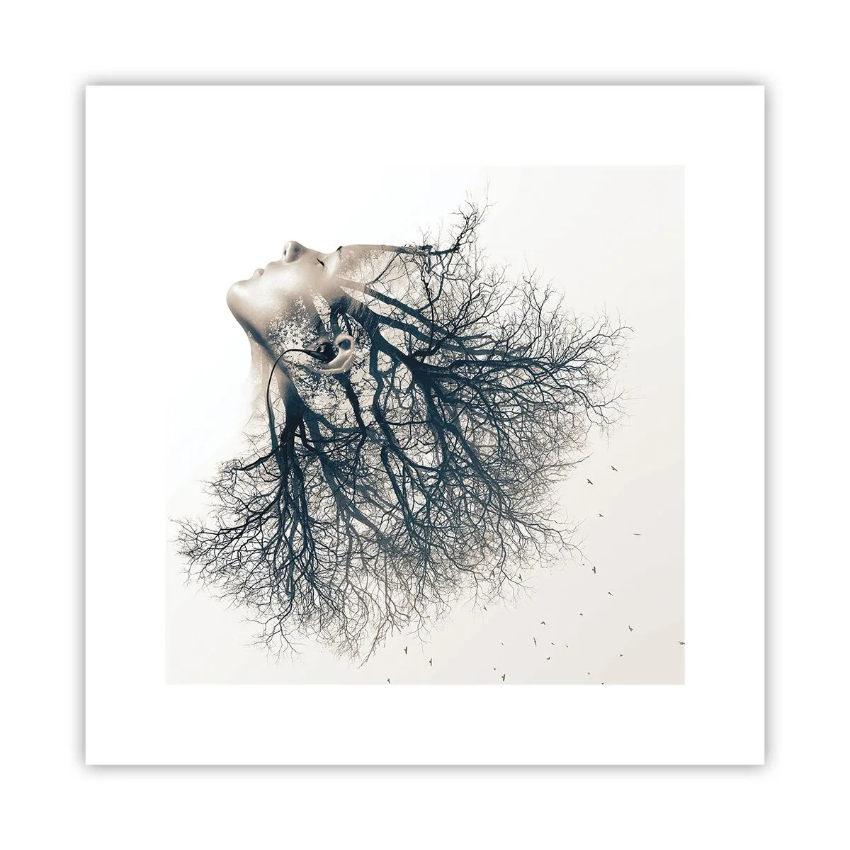 Affiche - Poster - Écouter le murmure des arbres - 30x30 cm