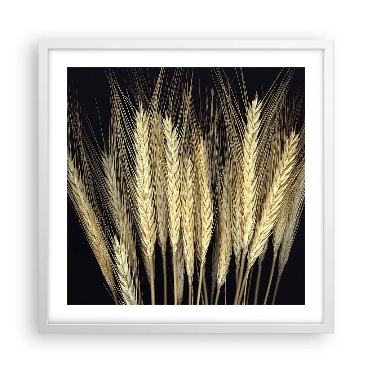 Affiche dans un cadre blanc - Poster - Magie rustique - 50x50 cm