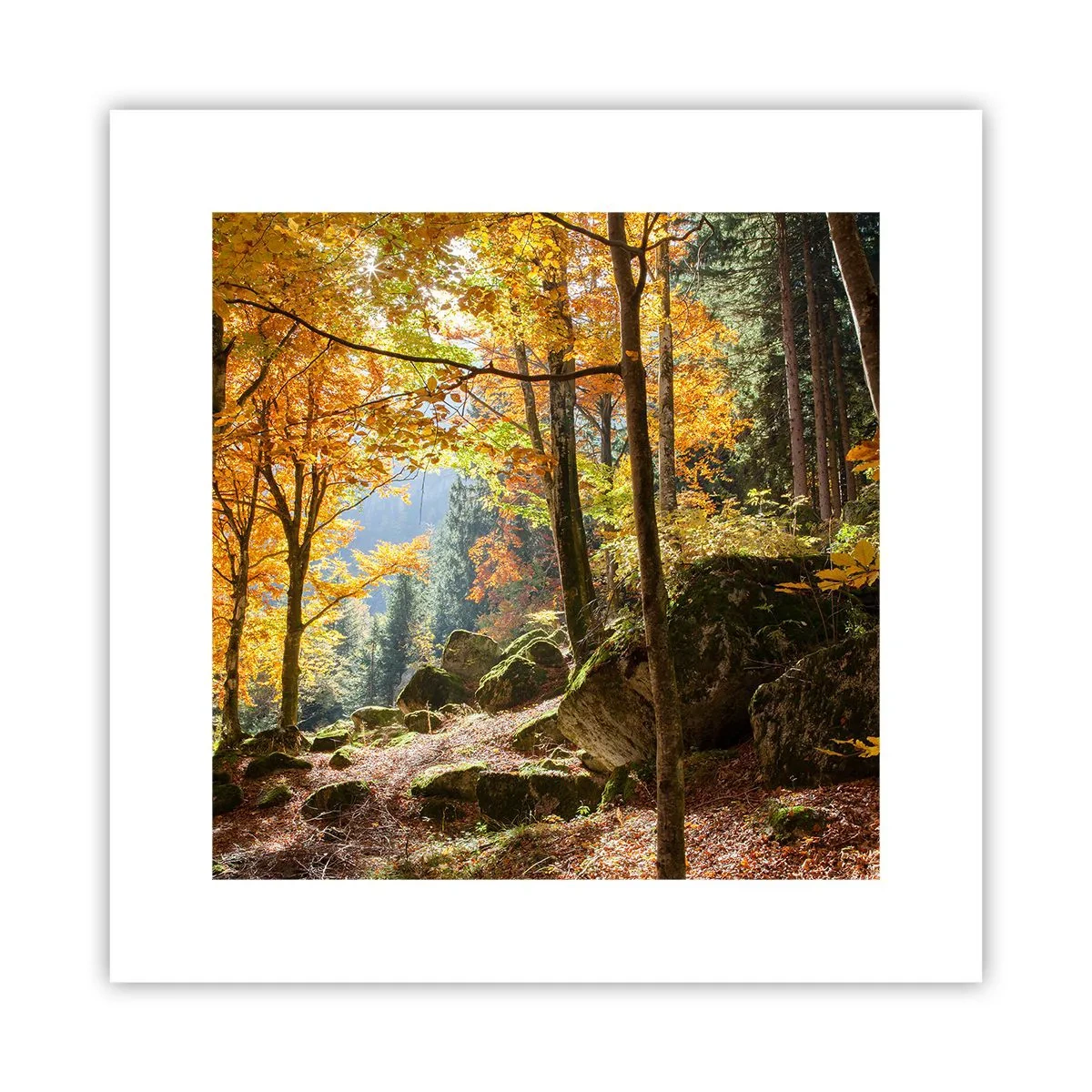 Affiche - Poster - Il est temps de se détendre - 30x30 cm