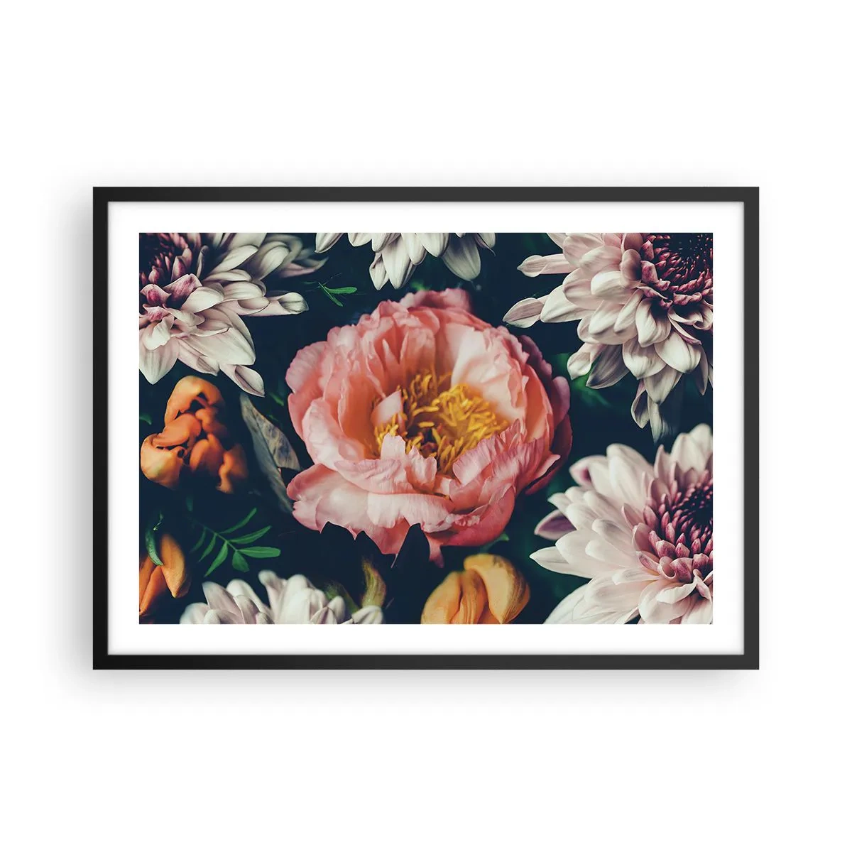 Affiche dans un cadre noir - Poster - Composition florale avec pivoines et chrysanthèmes sur fond sombre - 70x50cm - Splendeur baroque - Décoration murale moderne pour le salon et la chambre ARTTOR