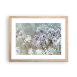 Affiche dans un chêne clair - Poster - Herbes douces en filigrane - 40x30 cm