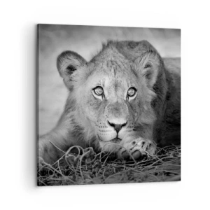 Impression sur toile - Image sur toile - Chiot royal - 60x60 cm