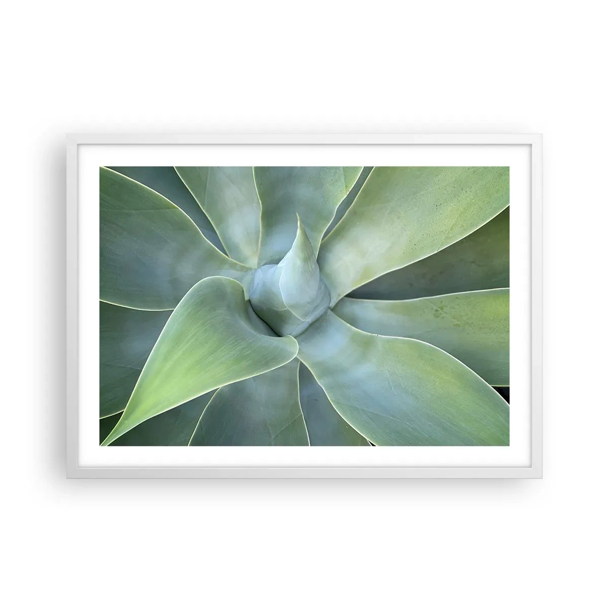 Affiche dans un cadre blanc - Poster - La naissance de la verdure - 70x50 cm