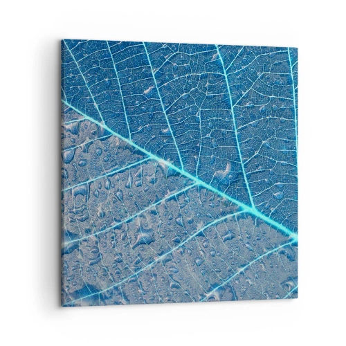Impression sur toile - Image sur toile - La vie en bleu - 50x50 cm