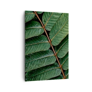 Impression sur toile - Image sur toile - Macro shot de feuilles vertes avec des gouttes de rosée - 70x100cm - Au rythme de la verdure - Décoration murale moderne pour le salon et la chambre ARTTOR