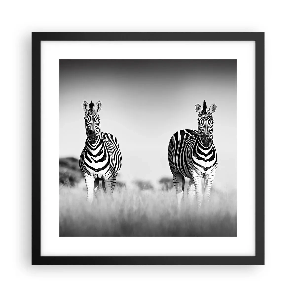 Affiche dans un cadre noir - Poster - Le monde est bel et bien noir et blanc - 40x40 cm