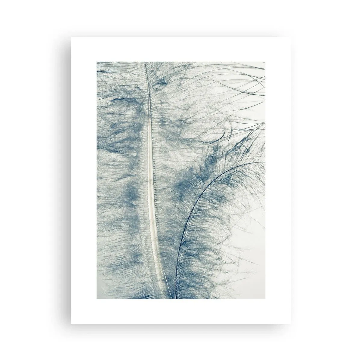 Affiche - Poster - Les sept natures - 30x40 cm
