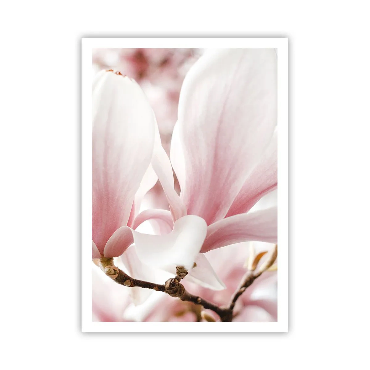 Affiche - Poster - Abondance de tendresse - 70x100 cm