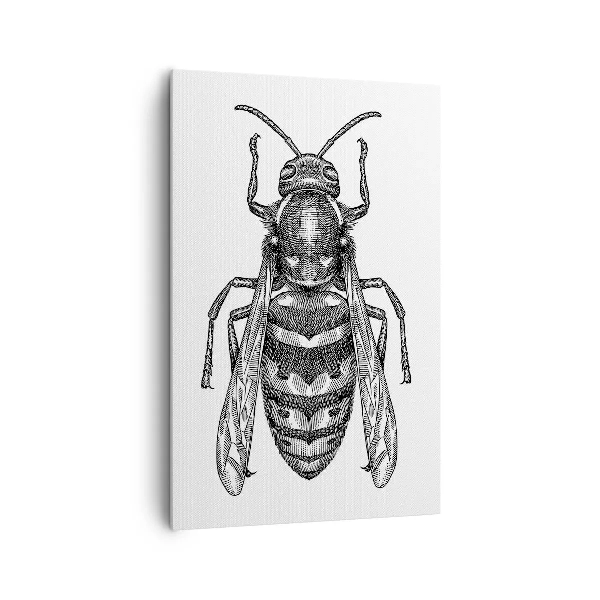 Impression sur toile - Image sur toile - Un motif de guêpe de dessin animé sur fond blanc dans un style minimaliste. - 80x120cm - D'une planète d'insectes - Décoration murale moderne pour le salon et la chambre ARTTOR
