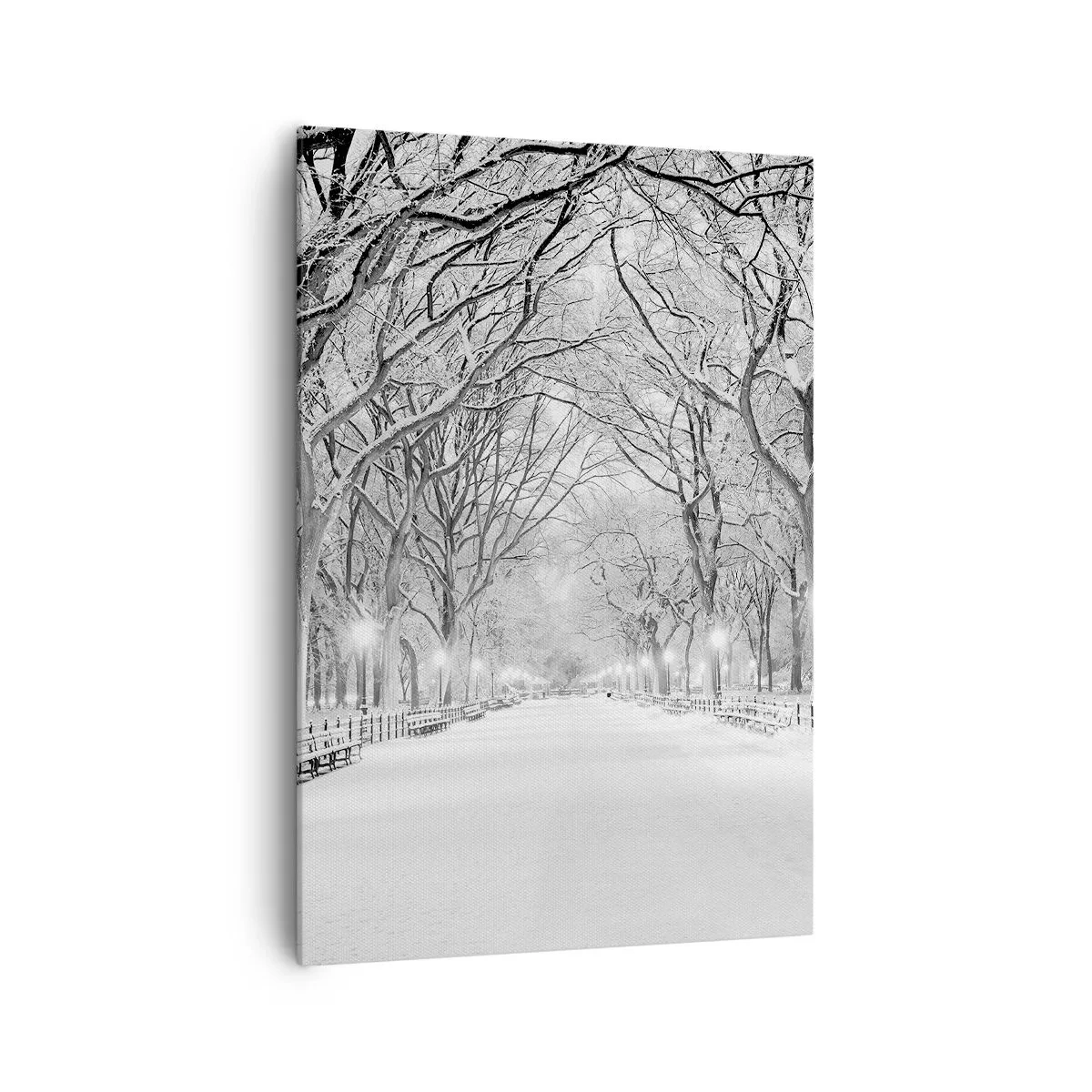 Impression sur toile - Image sur toile - Une allée d'hiver avec des arbres enneigés en monochrome - 70x100cm - Les quatres saisons – l’hiver - Décoration murale moderne pour le salon et la chambre ARTTOR