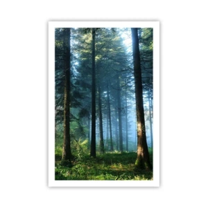 Affiche - Poster - Rayonnant le matin - 61x91 cm