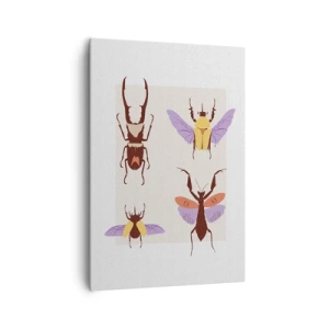 Impression sur toile - Image sur toile - Le monde des insectes - 70x100 cm