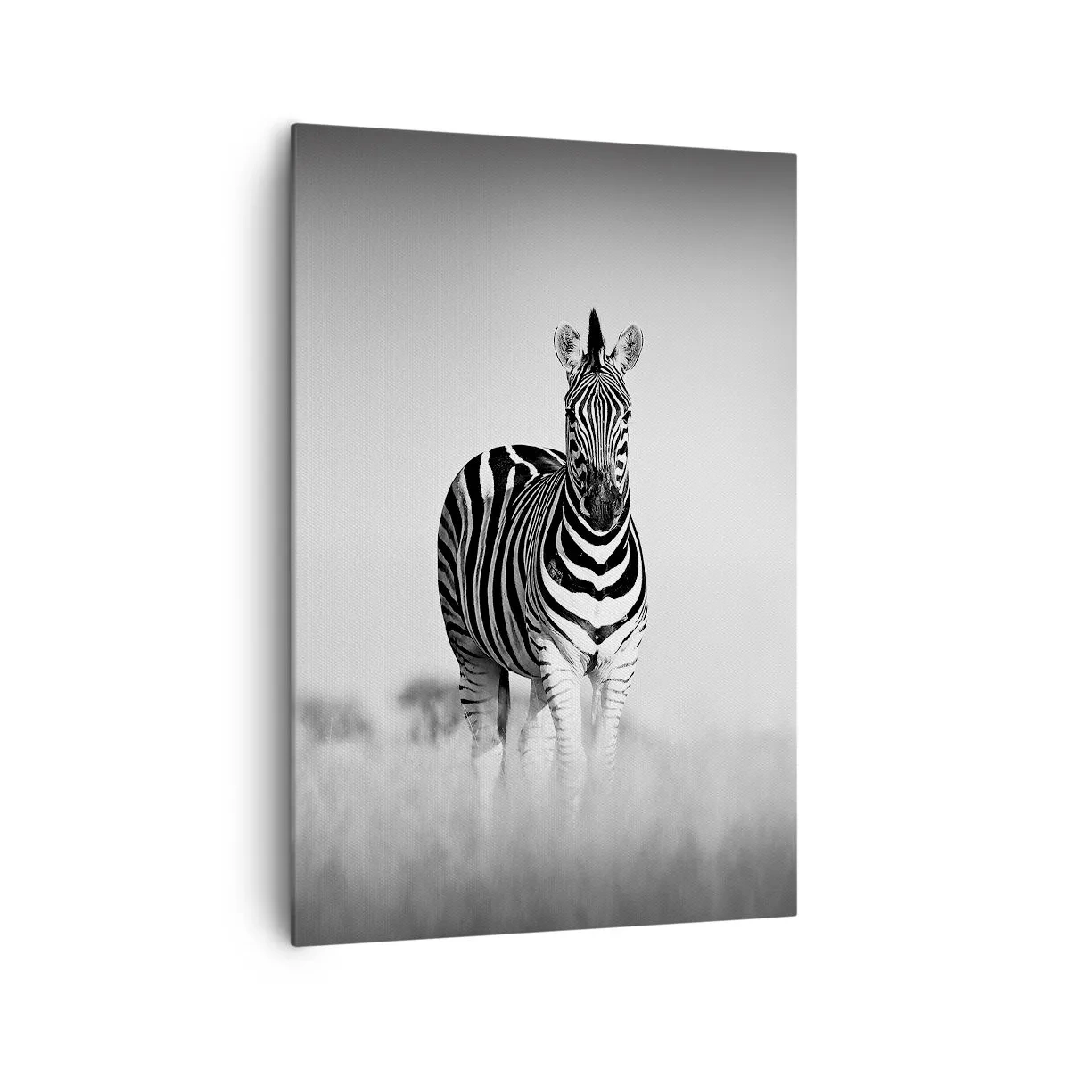 Impression sur toile - Image sur toile - Deux zèbres dans la savane dans un style monochrome - 70x100cm - Le monde est bel et bien noir et blanc - Décoration murale moderne pour le salon et la chambre ARTTOR