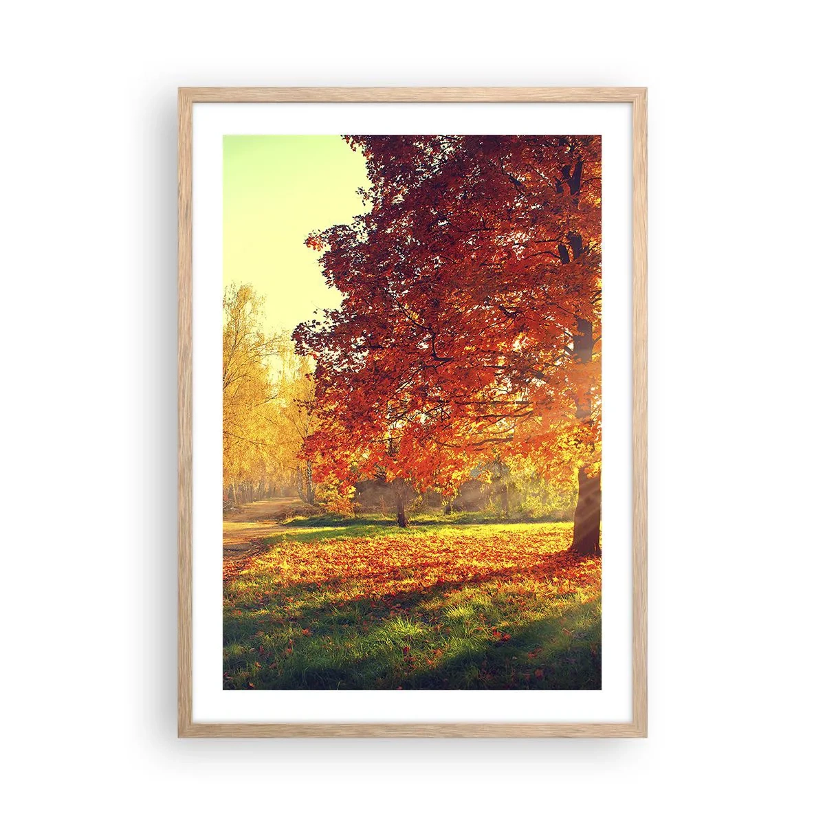 Affiche dans un chêne clair - Poster - Le roux est beau - 50x70 cm