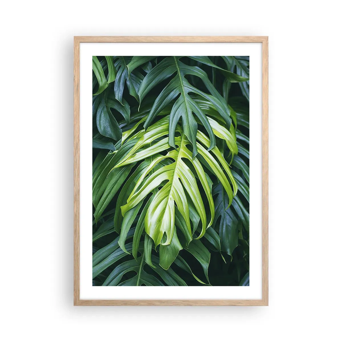 Affiche dans un chêne clair - Poster - Immergez-vous dans la fraîcheur - 50x70 cm