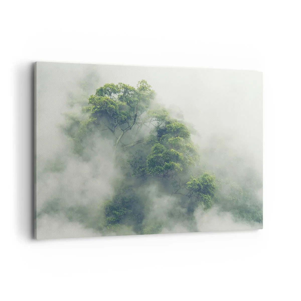 Impression sur toile - Image sur toile - Arbres verts dans un épais brouillard sur fond naturel - 120x80cm - Enveloppé de brouillard - Décoration murale moderne pour le salon et la chambre ARTTOR