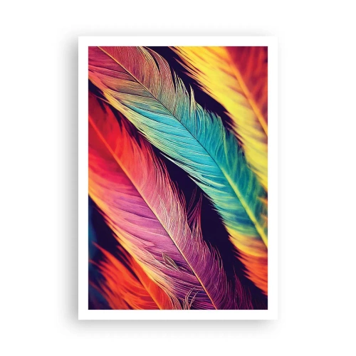 Affiche - Poster - Arc-en-ciel de plumes - 70x100 cm