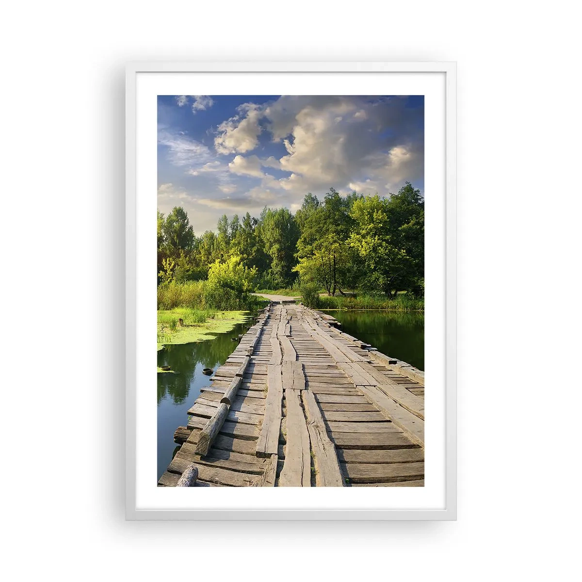 Affiche dans un cadre blanc - Poster - L'été, l'été partout - 50x70 cm