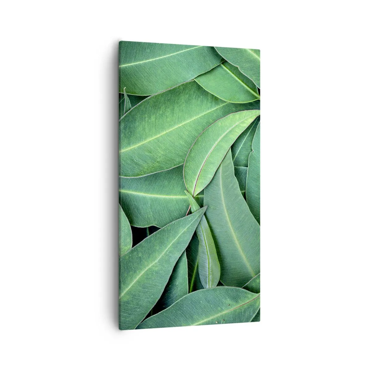 Impression sur toile - Image sur toile - Juteux et frais - 55x100 cm