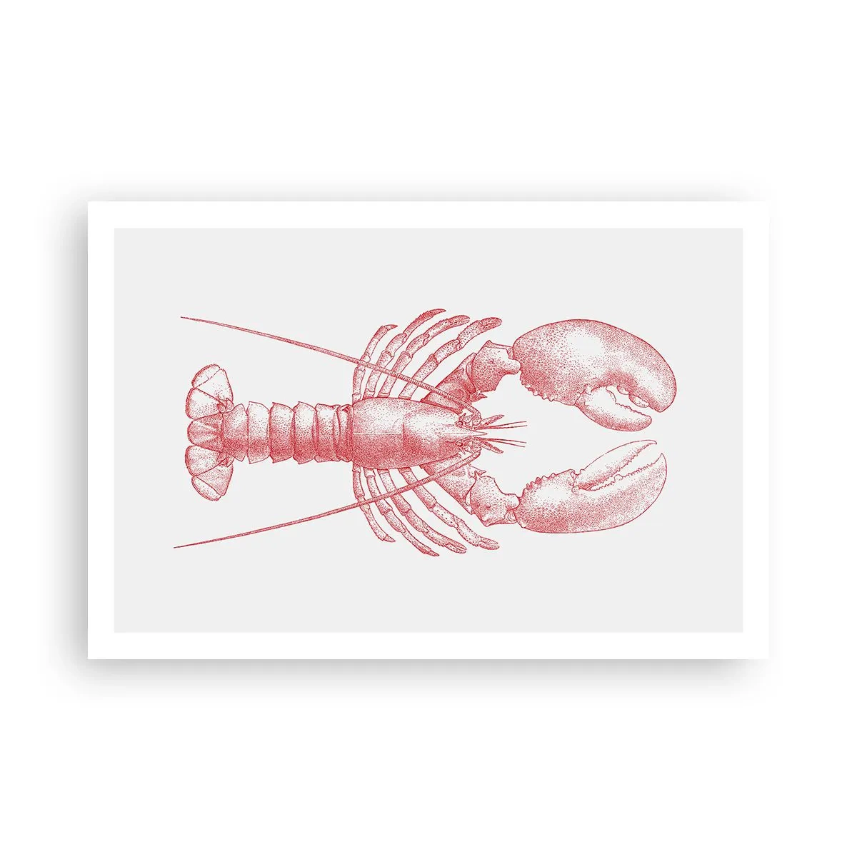 Affiche - Poster - Un homard digne d'Homère - 91x61 cm
