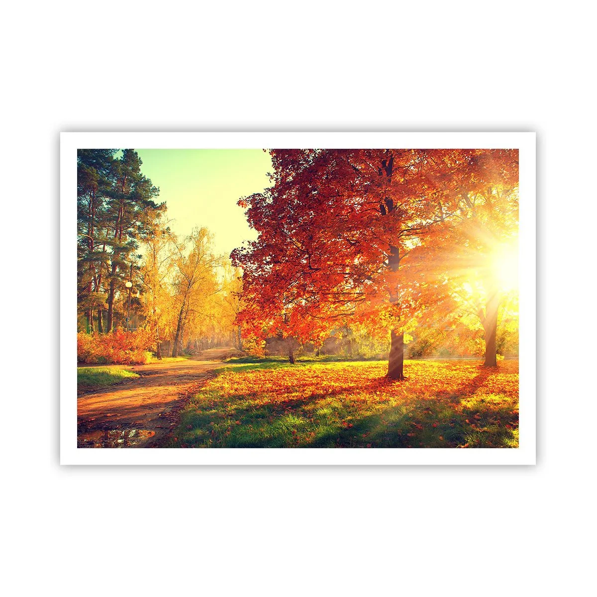Affiche - Poster - Parc d'automne illuminé par la lumière du soleil - 100x70cm - Le roux est beau - Décoration murale moderne pour le salon et la chambre ARTTOR