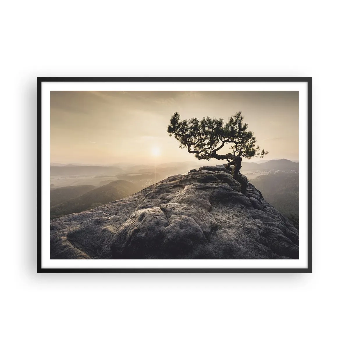Affiche dans un cadre noir - Poster - Un arbre solitaire sur un pic rocheux au soleil - 100x70cm - La vie gagne toujours - Décoration murale moderne pour le salon et la chambre ARTTOR