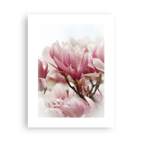 Affiche - Poster - Fleurs de printemps - 30x40 cm