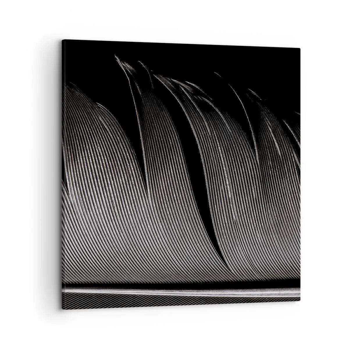 Impression sur toile - Image sur toile - La plume – un design magnifique - 50x50 cm