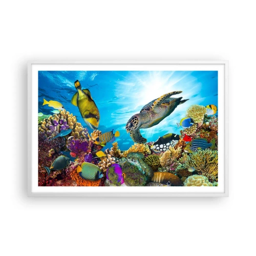 Affiche dans un cadre blanc - Poster - Promenade de corail - 91x61 cm