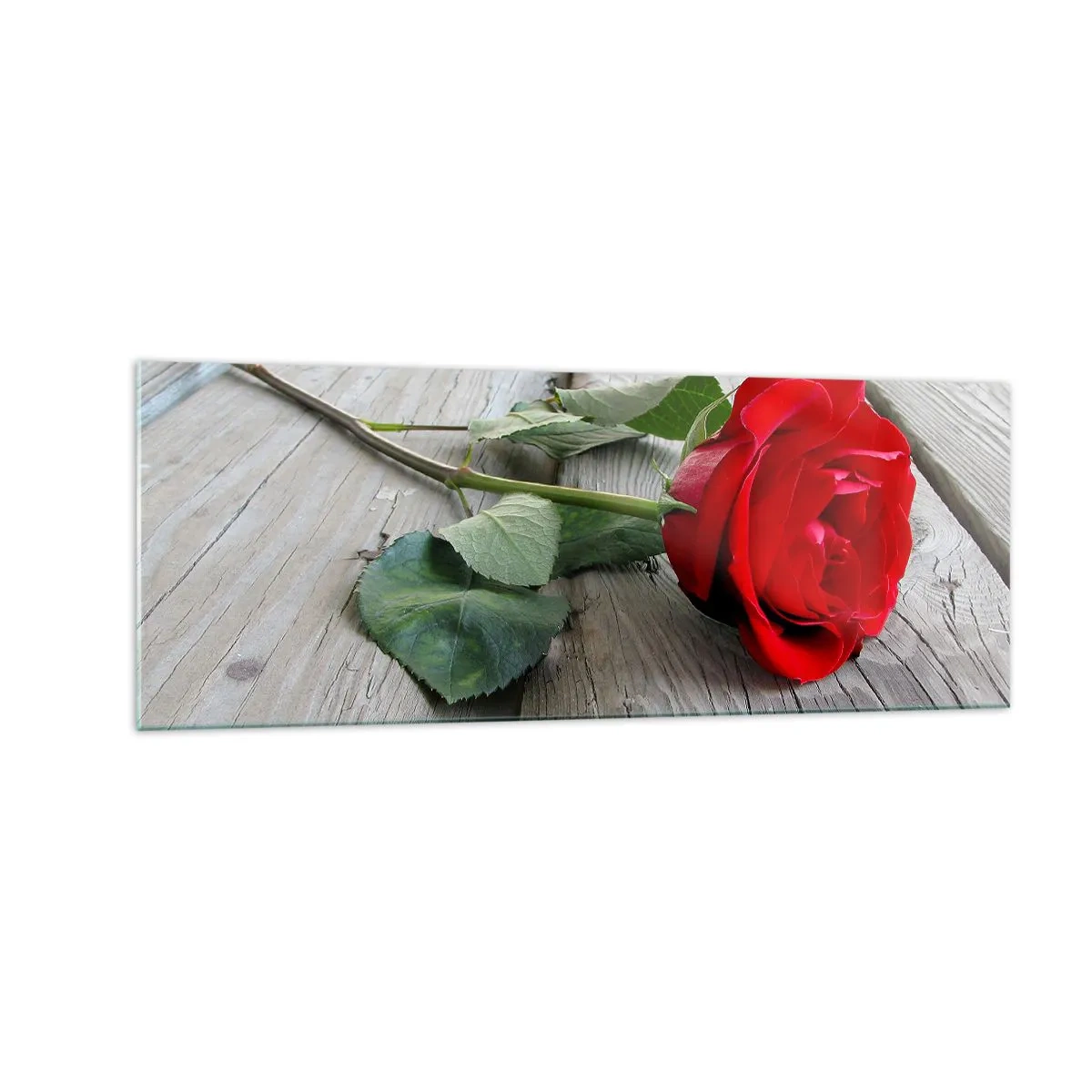 Impression sur verre - Image sur verre - Rose rouge sur fond de bois - 140x50cm - Étude écarlate - Décoration murale moderne pour le salon et la chambre ARTTOR