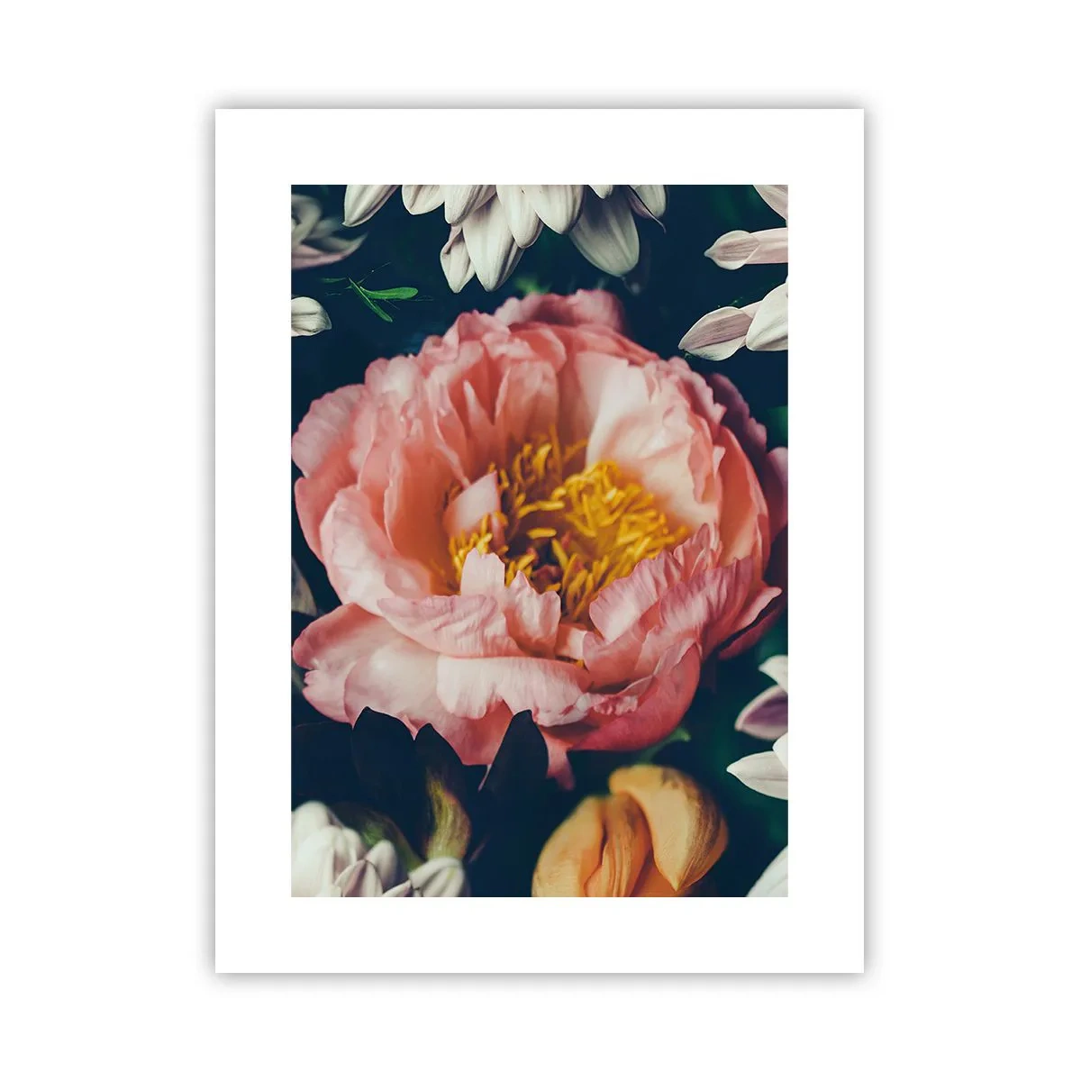 Affiche - Poster - Splendeur baroque - 30x40 cm