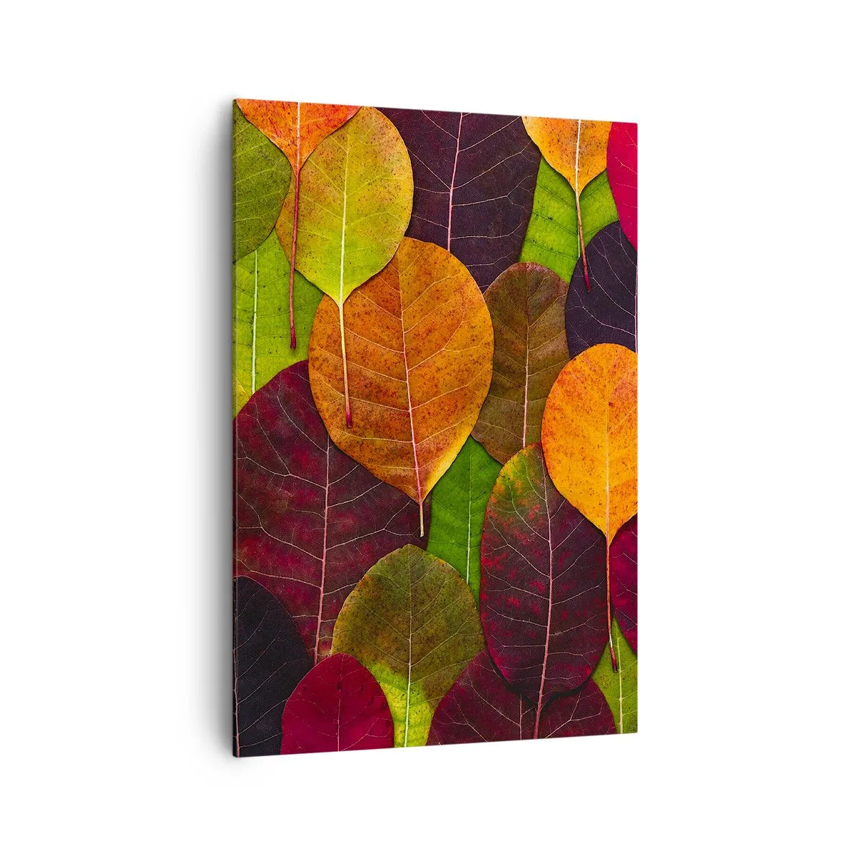 Impression sur toile - Image sur toile - Feuilles colorées disposées selon un motif d'automne - 70x100cm - Mozaique printannière - Décoration murale moderne pour le salon et la chambre ARTTOR