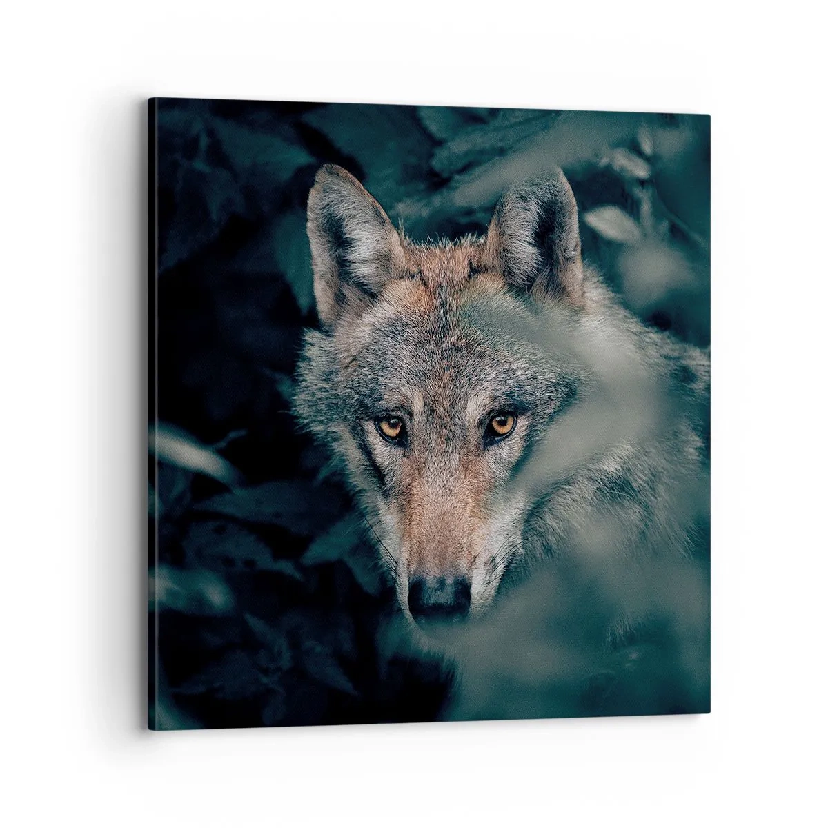 Impression sur toile - Image sur toile - Chasseur - 70x70 cm