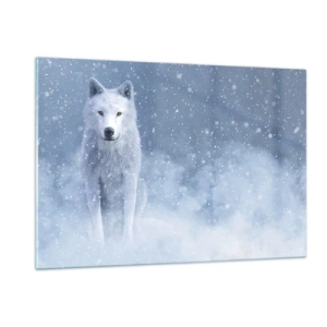 Impression sur verre - Image sur verre - Un loup blanc dans une tempête de neige regardant droit devant lui - 120x80cm - Dans une âme d'hiver - Décoration murale moderne pour le salon et la chambre ARTTOR
