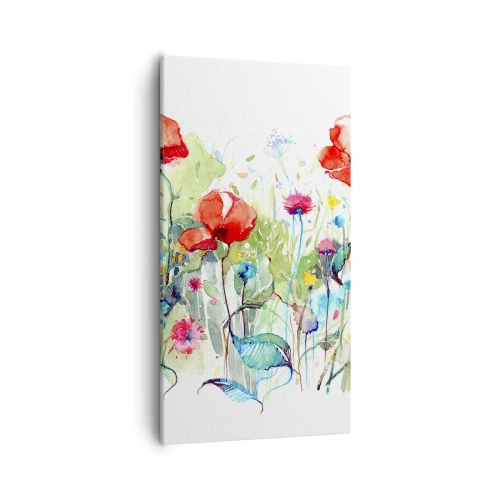 Impression sur toile - Image sur toile - Prairie de fleurs en mai - 55x100 cm