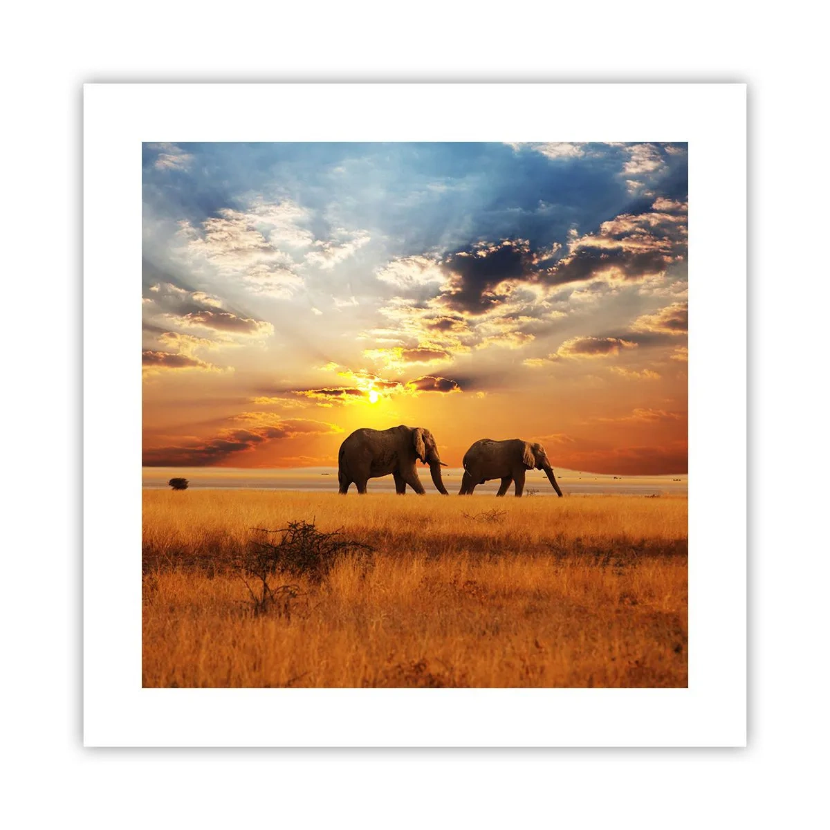 Affiche - Poster - Déambulation familliale - 40x40 cm