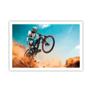 Affiche - Poster - Démon de la folie du vélo - 91x61 cm
