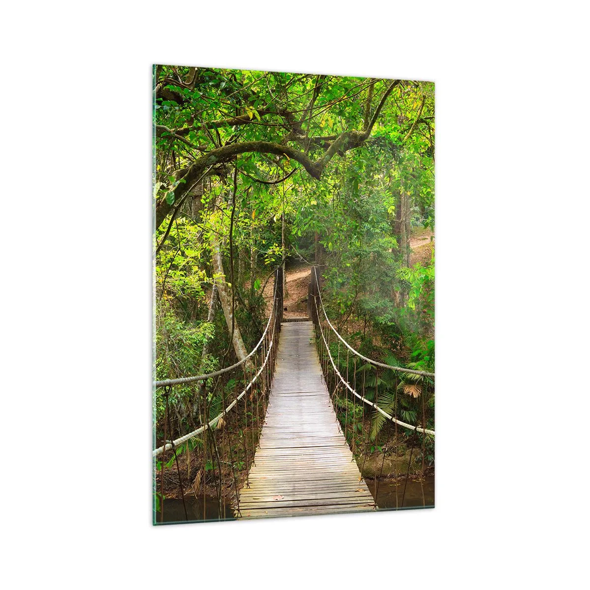 Impression sur verre - Image sur verre - Un pont suspendu entouré d'une forêt tropicale verte - 70x100cm - Parce qu'il y a une plante grimpante dans le jardin - Décoration murale moderne pour le salon et la chambre ARTTOR