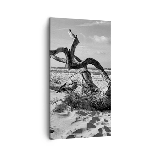Impression sur toile - Image sur toile - Sculpture marine - 45x80 cm
